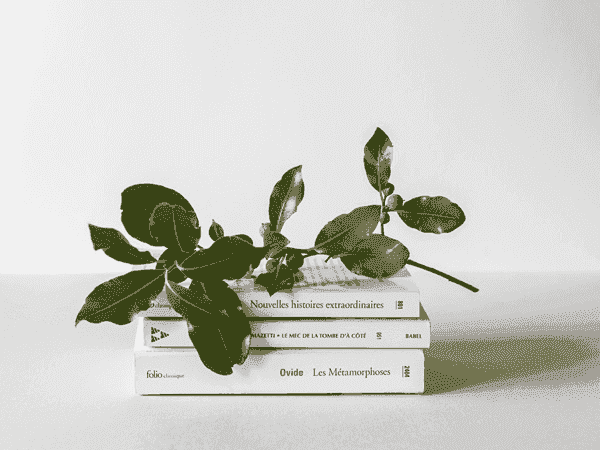 在线轰炸网页版